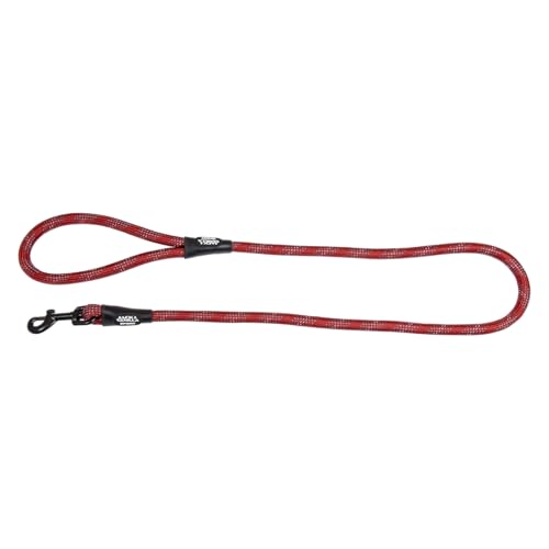 JACK AND VANILLA – Solide Hundeleine mit leuchtenden Punkten – Riemen mit leuchtenden Punkten und stabilem Haken zum Spazierengehen und Ausgehen – rote Farbe, Größe 12 mm x 120 cm JACK AND VANILLA – Solide Hundeleine mit leuchtenden Punkten – Riemen mit leuchtenden Punkten und stabilem Haken zum Spazierengehen und Ausgehen – rote Farbe, Größe 12 mm x 120 cm von JACK AND VANILLA