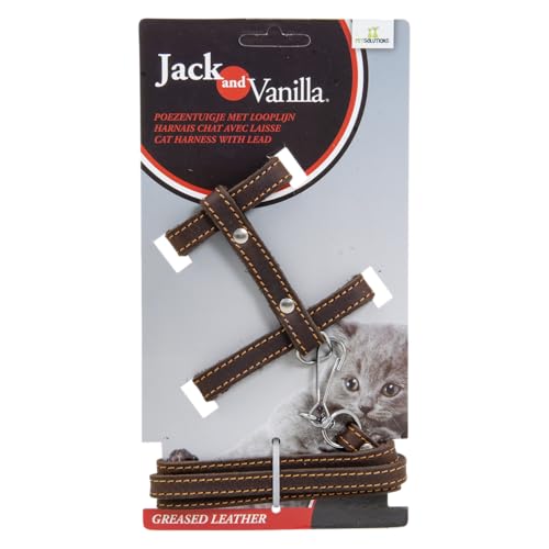 JACK AND VANILLA, Katzengeschirr aus Fettleder mit Leine im Lieferumfang enthalten, verstellbar für optimalen Komfort, Elegantes Design, braune Farbe, Größe 10 x 100 cm, Ledermuster von JACK AND VANILLA