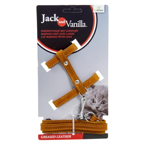 JACK AND VANILLA, Katzengeschirr aus Fettleder mit Leine, verstellbar für optimalen Komfort, Elegantes Cognac-Design, Größe 10 x 100 cm, Ledermodell, Zubehör von JACK AND VANILLA