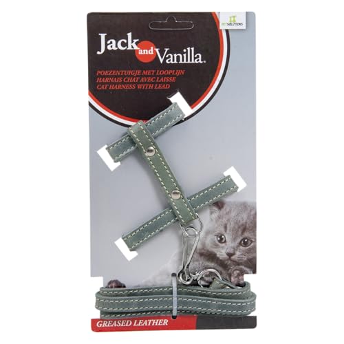 JACK AND VANILLA, Katzengeschirr aus Fettleder mit Leine 100 cm, individuelle Passform, Elegantes Design, optimaler Komfort, ideal zum Spazierengehen, Größe 10 mm, Grau, Muster von JACK AND VANILLA