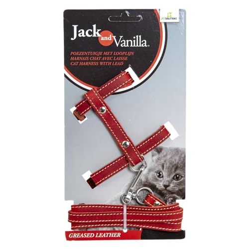 JACK AND VANILLA, Katzengeschirr aus Fettleder mit roter Leine, individuelle Passform, Elegantes Design, optimaler Komfort, maximale Sicherheit, Größe 10 mm, rote Farbe, Muster JACK AND VANILLA, Katzengeschirr aus Fettleder mit roter Leine, individuelle Passform, Elegantes Design, optimaler Komfort, maximale Sicherheit, Größe 10 mm, rote Farbe, Muster von JACK AND VANILLA