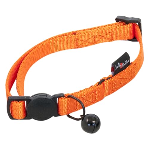 JACK AND VANILLA, Orangenes Katzenhalsband aus widerstandsfähigem Nylon, verstellbar von 24–35cm, Sicherheitsschnalle, D-Ring für Medaille, optimaler Komfort, Größe 10 mm, orange, Nylonmodell JACK AND VANILLA, Orangenes Katzenhalsband aus widerstandsfähigem Nylon, verstellbar von 24–35cm, Sicherheitsschnalle, D-Ring für Medaille, optimaler Komfort, Größe 10 mm, orange, Nylonmodell von JACK AND VANILLA