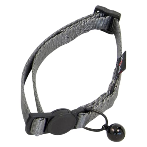 JACK AND VANILLA, Robustes Katzenhalsband aus Nylon, verstellbar von 24–35 cm, Elegante graue Farbe, Sicherheitsschnalle, leicht und bequem für aktive Katzen, 10 mm, grau, Nylonmodell von JACK AND VANILLA