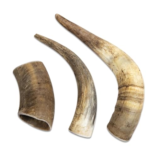 JACK AND VANILLA, Kauspielzeug aus Holz für Hunde, langlebig und gesund, reduziert Kalk, ideal für mittelgroße Hunde, 100% natürlich, 151 – 300 g, Horn, Modell All Nature JACK AND VANILLA, Kauspielzeug aus Holz für Hunde, langlebig und gesund, reduziert Kalk, ideal für mittelgroße Hunde, 100% natürlich, 151 – 300 g, Horn, Modell All Nature von JACK AND VANILLA