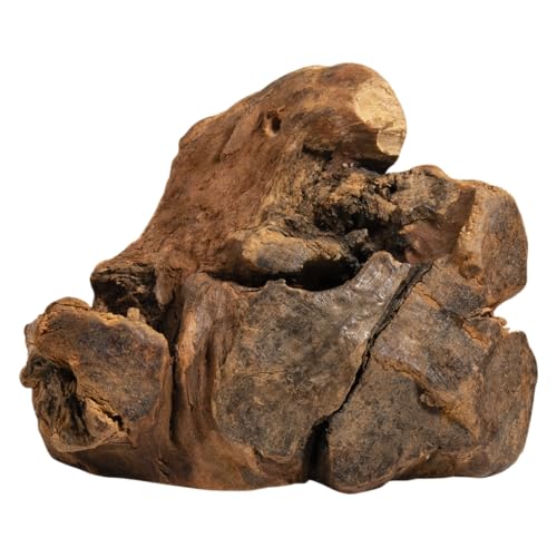 JACK AND VANILLA, Kauspielzeug für Hunde aus natürlichem Holz, langlebig und gesund, reduziert Zahnstein, ideal für mittelgroße Hunde, 100% natürlich, 201–350 g, Baumwurzel, All-Nature-Modell von JACK AND VANILLA