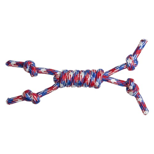 JACK AND VANILLA, natürliche Kauknoten für Hunde, stärkt die Zahngesundheit, REGT die geistige Aktivität an, 26 cm, natürliche Farbe, Borabora-Modell von JACK AND VANILLA