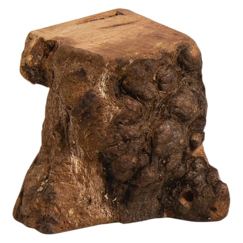 JACK AND VANILLA, natürliche Mehrzweck-Baumwurzel für Innendekoration und Wassersport, Gewicht 80–200 g, Größe XS, einzigartige Ästhetik, umweltfreundlich, natürliche Farbe, ganz natürliches Muster JACK AND VANILLA, natürliche Mehrzweck-Baumwurzel für Innendekoration und Wassersport, Gewicht 80–200 g, Größe XS, einzigartige Ästhetik, umweltfreundlich, natürliche Farbe, ganz natürliches Muster von JACK AND VANILLA
