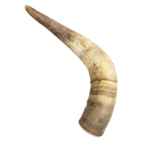 JACK AND VANILLA, natürliches Rinderholz, langlebig und ökologisch, ideal zum Kochen und Basteln, schöne Verarbeitung, Gewicht 261–350 g, Größe L, natürliche Farbe, All Nature-Modell JACK AND VANILLA, natürliches Rinderholz, langlebig und ökologisch, ideal zum Kochen und Basteln, schöne Verarbeitung, Gewicht 261–350 g, Größe L, natürliche Farbe, All Nature-Modell von JACK AND VANILLA