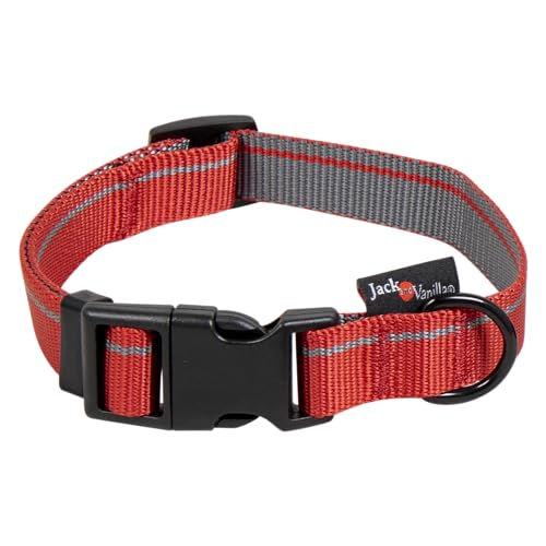 JACK AND VANILLA, Rotes Hundehalsband, Elegantes und bequemes Design, verstellbar von 31 bis 47 cm, langlebige und hypoallergene Materialien, Größe L, rote Farbe, gestreiftes Modell JACK AND VANILLA, Rotes Hundehalsband, Elegantes und bequemes Design, verstellbar von 31 bis 47 cm, langlebige und hypoallergene Materialien, Größe L, rote Farbe, gestreiftes Modell von JACK AND VANILLA