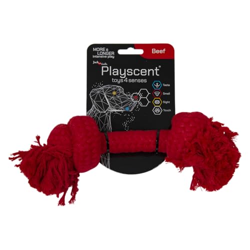 JACK AND VANILLA 100% natürliches Rinderseil für Hunde, ideal zum Kauen und Spielen, fördert die Zahngesundheit, 25 cm, natürliche Farbe, Spielduftmodell JACK AND VANILLA 100% natürliches Rinderseil für Hunde, ideal zum Kauen und Spielen, fördert die Zahngesundheit, 25 cm, natürliche Farbe, Spielduftmodell von JACK AND VANILLA