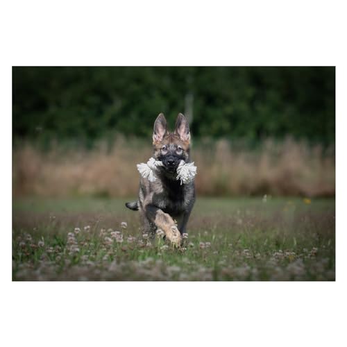 JACK AND VANILLA, Natürliches Juteseil mit Zwei Knoten für Hunde, leicht und langlebig, ideal für aktives Spielen, 20 cm, natürliche Farbe, Modell Revive Toys JACK AND VANILLA, Natürliches Juteseil mit Zwei Knoten für Hunde, leicht und langlebig, ideal für aktives Spielen, 20 cm, natürliche Farbe, Modell Revive Toys von JACK AND VANILLA