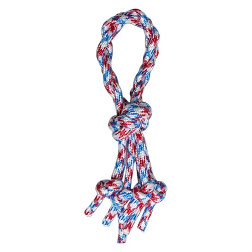 JACK AND VANILLA, Seilschlaufe für Hunde, interaktives Spielzeug, strapazierfähig, geistige Stimulation, leicht zu reinigen, ideal zum Seilziehen, 30 cm von JACK AND VANILLA