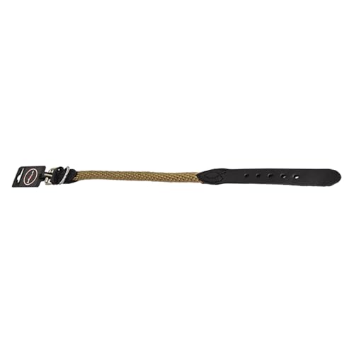 JACK AND VANILLA Stilvolles Hundehalsband in Beige, 15 mm breit und 60 cm lang, entworfen für Komfort und Sicherheit, leicht zu pflegen, perfekt für mittelgroße Spaziergänger JACK AND VANILLA Stilvolles Hundehalsband in Beige, 15 mm breit und 60 cm lang, entworfen für Komfort und Sicherheit, leicht zu pflegen, perfekt für mittelgroße Spaziergänger von JACK AND VANILLA