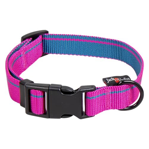 JACK AND VANILLA, Stilvolles Hundehalsband, modernes Design, verstellbar von 31–47 cm, Sicherheitsschnalle, pflegeleicht, rosa Farbe, 20 mm Breite, Streifenmuster JACK AND VANILLA, Stilvolles Hundehalsband, modernes Design, verstellbar von 31–47 cm, Sicherheitsschnalle, pflegeleicht, rosa Farbe, 20 mm Breite, Streifenmuster von JACK AND VANILLA