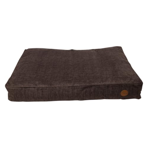 JACK AND VANILLA, Softbälle für Katzen, 2er-Set, Durchmesser 5 cm, ungiftig, leicht, leicht zu reinigen, fördern körperliche Aktivität und interaktives Spielen, Modell Cat Toys JACK AND VANILLA, Softbälle für Katzen, 2er-Set, Durchmesser 5 cm, ungiftig, leicht, leicht zu reinigen, fördern körperliche Aktivität und interaktives Spielen, Modell Cat Toys von JACK AND VANILLA