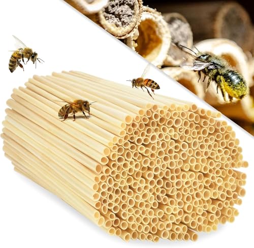 300 Natürliche Insektenhotel Füllmaterial, Niströhren für Wildbienen Insektenhotel Insektenhaus Bastelsachen 20cm Länge Wasserdichte Füllmaterial zum selber Bauen Umweltfreundlichen Basteln Nisthilfen 300 Natürliche Insektenhotel Füllmaterial, Niströhren für Wildbienen Insektenhotel Insektenhaus Bastelsachen 20cm Länge Wasserdichte Füllmaterial zum selber Bauen Umweltfreundlichen Basteln Nisthilfen von JACKANNA