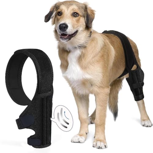 Hundekniebandage bei Kreuzbandriss & Lahmheit - Medizinische Kompressionsbandage mit Silikon-Grip (Atmungsaktiv, waschbar) - Für alle Rassen (S) von JACKANNA
