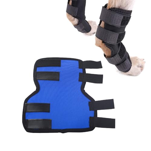 JACKANNA Hundebeinbandage für Hinterlauf – Kompressions-Wrap bei Verletzungen, Arthritis & Verstauchungen Anti-Lick, waschbar, medizinischer Schutz (Blau, m) von JACKANNA