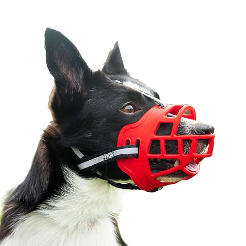 Jackanna Hundemaulkorb Reflektierend Einstellbar Anti-Beißer Anti-Bellen Anti-Kauen Großer und Kleiner Hundemaulkorb Pet Geeignet für Hunde mit Langen Nasen (Rot, 3# (18-28kg)) von JACKANNA