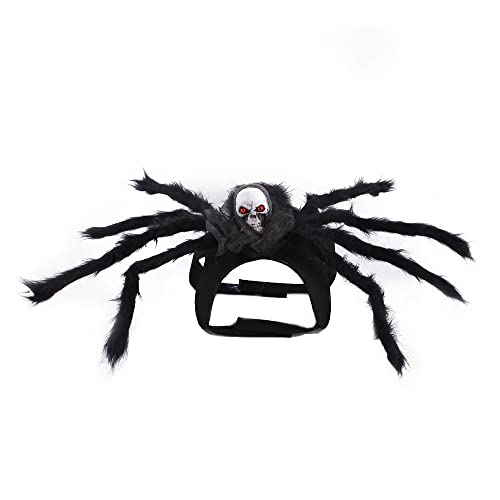 Jackanna Katze Fledermaus Kostüm Halloween Hundekostüme Haustier Kleidung Fledermaus Flügel Haustier gruselig dekoratives Zubehör für Spinne Rollenspiel (Totenkopf Grau) von JACKANNA