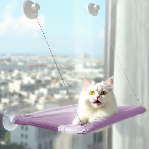 Katzen Fensterliege,Katzen Zubehör Fenster-Katzenhängematte bis 25kg (55x35 cm) –Katzenbalkon Verstärkte Fensterliege mit Starken Saugnäpfen (Lila, 55 * 35) von JACKANNA