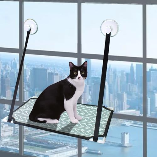 Katzen Fensterliege Katzen Zubehör Doppelschichtige Katzenhängematte für Fensterbank - Bis 25kg, mit Starken Saugnäpfen - Fensterschutz Katze Sicher (Einlagig blau) von JACKANNA