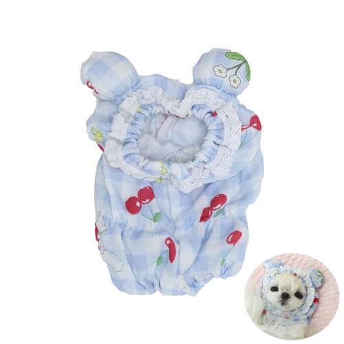 Katzen- & Hundefutter-Schutzhaube | Anti-Schmutz-Lätzchen mit 3D-Bärenohren | Aus Baumwolle & Spitze | Niedliches Fotozubehör für Instagram (Blau, m) von JACKANNA
