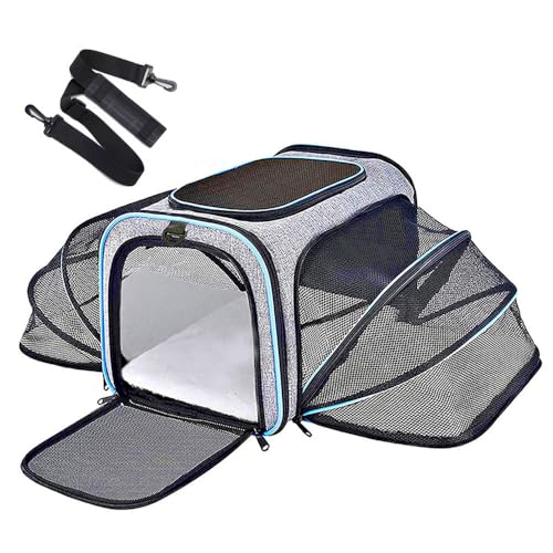 Katzentransportbox Transportbox Katze Groß Katzen Transport Tasche Erweiterbar Katzenkorb Transport für 2 Katzen Hund Welpen, Flugzeug Faltbar Hundetransportbox (Blau, (S) 40CM*25CM*25CM) von JACKANNA