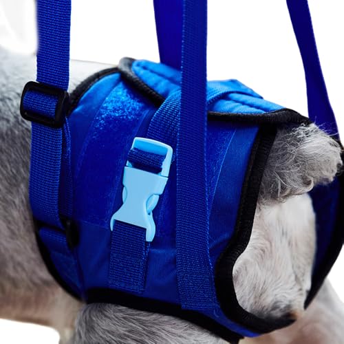 Tragehilfe für senioren Hunde mit Schwäche | Hinterbein-Hilfsbandage für Rehabilitation | Waschbar & rutschfest | Tierphysiotherapeut-empfohlen (Himmelblau, L) von JACKANNA