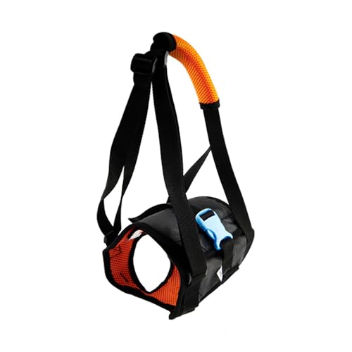Tragehilfe für senioren Hunde mit Schwäche | Hinterbein-Hilfsbandage für Rehabilitation | Waschbar & rutschfest | Tierphysiotherapeut-empfohlen (Schwarz und Orange, XL) von JACKANNA