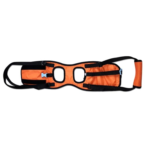 Tragehilfe für senioren Hunde mit Schwäche | Hinterbein-Hilfsbandage für Rehabilitation | Waschbar & rutschfest | Tierphysiotherapeut-empfohlen (Signalorange, S) von JACKANNA