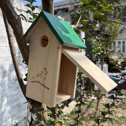 Vogelhaus Zum Bemalen für mit Metallrohr, Dickes Holz, Vogelhaus Bausatz, Nistkasten für Vögel für Draußen Wetterfest, Nistkasten für Schwalbe, Zaunkönig, Küken (Grün, 1 Stück) von JACKANNA