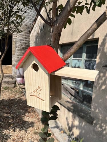 Vogelhaus Zum Bemalen für mit Metallrohr, Dickes Holz, Vogelhaus Bausatz, Nistkasten für Vögel für Draußen Wetterfest, Nistkasten für Schwalbe, Zaunkönig, Küken (Rot, 1 Stück) von JACKANNA