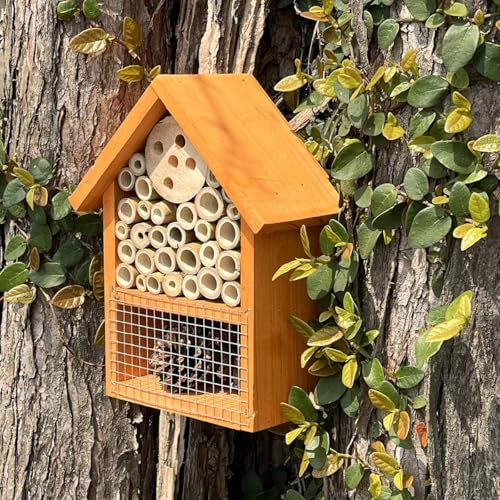 Wetterfest Natur/Nistkasten Bienenhotel Insektenhotel Bausatz aus Holz für Bienen, Insektenhotel Groß Schmetterlinge, Schmetterlingshaus für Garten Käfer & andere Tiere (2, EIN Stück) von JACKANNA