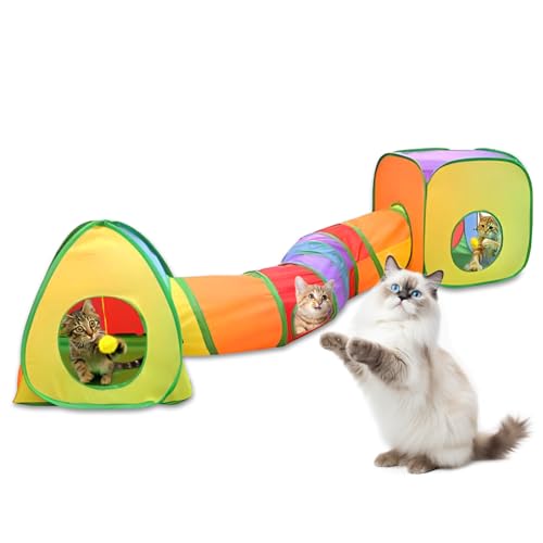 Katzentunnel von JACKBOY