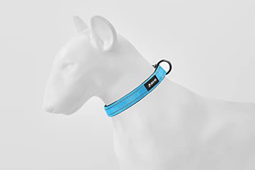 Hundehalsband, Größe L, Marineblau von JACKPET