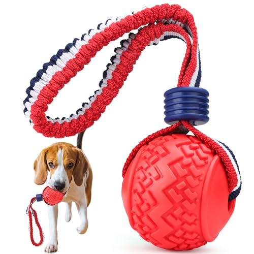 JAKPAK Hundespielzeug, interaktives Reifen-Hundespielzeug für Indoor-Hunde und Hunde mit Seil, Kätzchen-Hundespielzeug, Ball für gelangweilte Indoor-Hunde und Hunde (rot) von JAKPAK