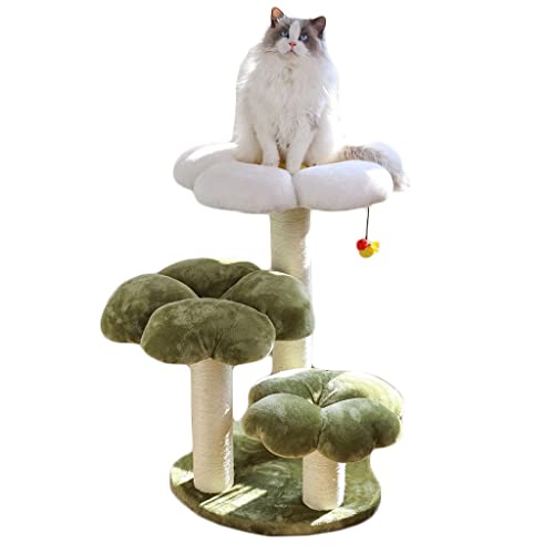 Kratzbäume Kratzbaum for Große Katzen, 9 Kg, Robust, Blumen-Kratzbaum, Kratzbäume Und Türme for Große Katzen Kratzbäume Kratzbaum for Große Katzen, 9 Kg, Robust, Blumen-Kratzbaum, Kratzbäume Und Türme for Große Katzen von JALYKA
