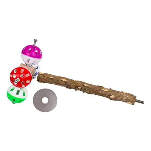Interaktions-Sitzstange, Vogelspielzeug mit rotierenden Glocken, Ball, kaubar, Naturholzständer für Papageien, Sittiche, Unterhaltungsspielzeug, Sitzstange mit rotierenden Bällen Interaktions-Sitzstange, Vogelspielzeug mit rotierenden Glocken, Ball, kaubar, Naturholzständer für Papageien, Sittiche, Unterhaltungsspielzeug, Sitzstange mit rotierenden Bällen von JAMNGHB