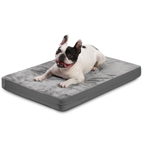 JANEMUA Extra großes Hundebett für den Außenbereich, wasserdichtes Hundebett, XL-Haustierbett aus Eierkartonschaum mit abnehmbarem, waschbarem Oxford-Kühlbezug-Grey||L 58 x W 43 x H 7cm von JANEMUA