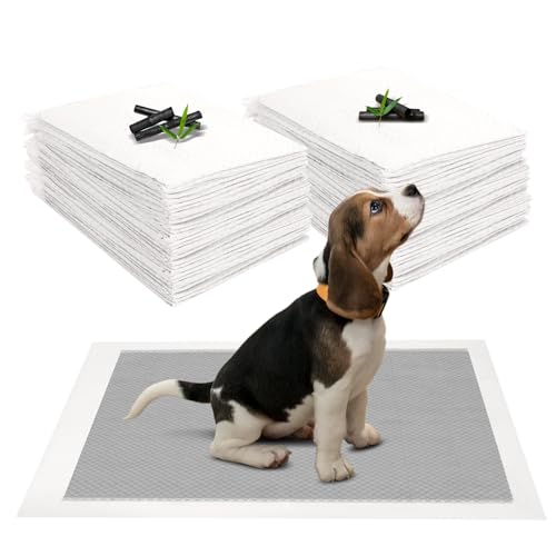 JANUIXCO 40 Stück PIPI Matten für Hunde 60 × 60 cm - Wickelunterlage Auslaufsicheres mit Kohlenstoff zur Geruchskontrolle - Inkontinenzunterlage Einweg für Kranke und Inkontinente Tiere von JANUIXCO