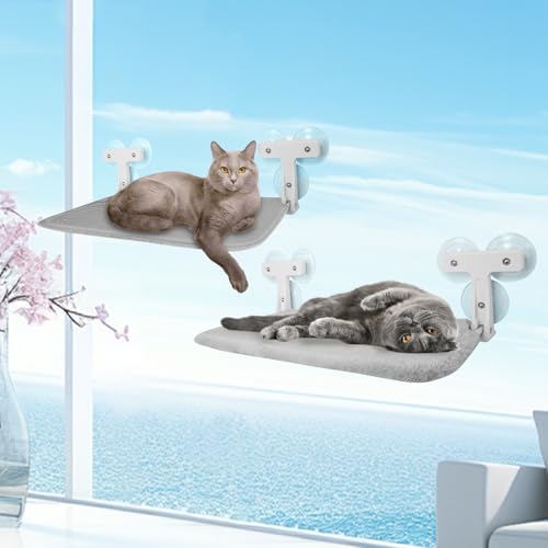 2PCS Katzen Fensterliege Hängematte, Fenster Katzenbett, Fensterbank Katzenliege, Faltbare Fensterplätze, Kabelloses Katzenhängebett mit Starken Saugnäpfen, 52×30cm, Hält bis zu 25kg 2PCS Katzen Fensterliege Hängematte, Fenster Katzenbett, Fensterbank Katzenliege, Faltbare Fensterplätze, Kabelloses Katzenhängebett mit Starken Saugnäpfen, 52×30cm, Hält bis zu 25kg von JAOGAUS