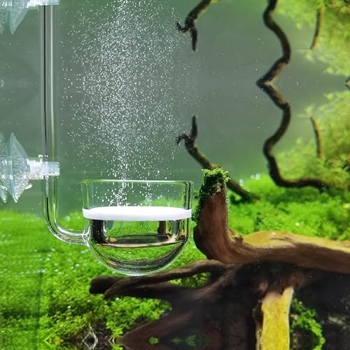 JARDLI Musik Glas CO2 Diffusor für Aquarium Pflanze (Φ30mm) von JARDLI