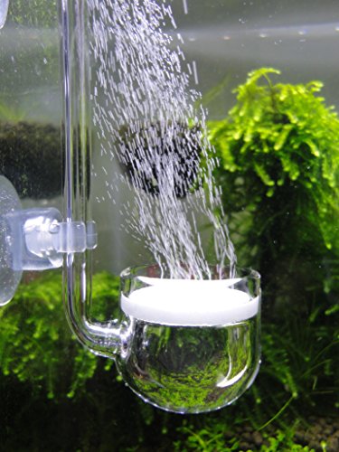 JARDLI Musik Glas CO2 Diffusor für Aquarium Pflanze (Φ30mm) von JARDLI