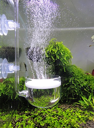 JARDLI Musikglas CO2-Diffusor für Aquarien, 4,1 cm für 150 - 270 Liter Tank von JARDLI