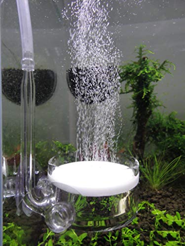 JARDLI Pollen Glas CO2 Diffusor mit U-Form Anschlussrohr für Aquarium Pflanztank (5,1 cm für 50-80 US Gallonen) von JARDLI