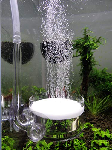 JARDLI Pollen Glas CO2 Diffusor mit U Pipe für Aquarium Gepflanzt Tank (Φ50mm) von JARDLI