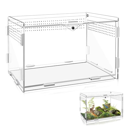 Schnecken Mini Terrarium, Reptilien Terrarium Box, Transparent Insekten Terrarium, Mini Transparent Acryl Terrarium, Unterkünfte für Spinnen, Eidechsen, Frösche, Käfer und Andere Insekten Schnecken Mini Terrarium, Reptilien Terrarium Box, Transparent Insekten Terrarium, Mini Transparent Acryl Terrarium, Unterkünfte für Spinnen, Eidechsen, Frösche, Käfer und Andere Insekten von JAWAI