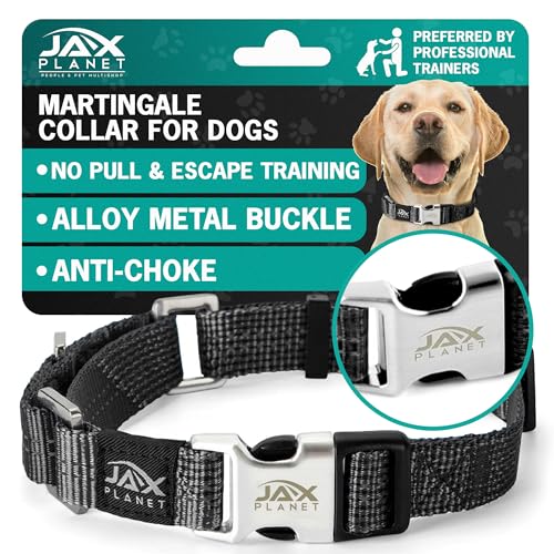 Martingale-Halsband für Hunde, robustes Nylon, für ausbruchfreies Training und Spazierengehen, kein Ziehen, Schnalle aus Legierung und reflektierendem D-Ring, einmalige Anpassung, sicher und sicher Martingale-Halsband für Hunde, robustes Nylon, für ausbruchfreies Training und Spazierengehen, kein Ziehen, Schnalle aus Legierung und reflektierendem D-Ring, einmalige Anpassung, sicher und sicher von JAX PLANET