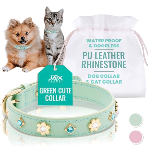 Hundehalsband aus PU-Leder mit Strasssteinen, Blumen-Design, Haustier-Mode-Zubehör für Welpen, Katzen, kleine Hunde, drinnen und draußen, Grün, Größe XS Hundehalsband aus PU-Leder mit Strasssteinen, Blumen-Design, Haustier-Mode-Zubehör für Welpen, Katzen, kleine Hunde, drinnen und draußen, Grün, Größe XS von JAX PLANET